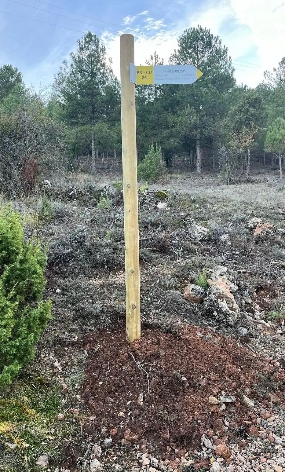 Parcela desbrozada tras la limpieza