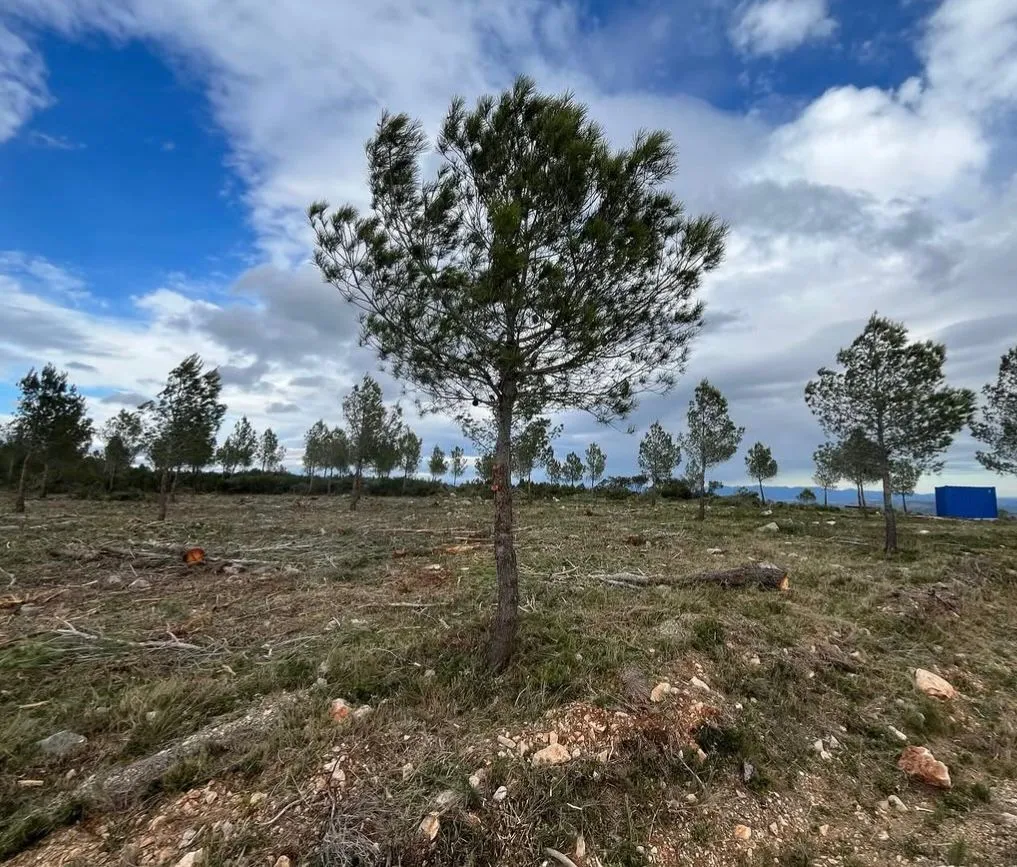 Monte tratado con la carga de combustible reducida